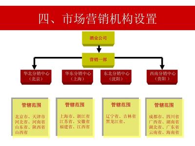 白酒營銷策劃方案構(gòu)建與典型案例分析
